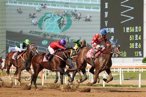 fusan horse race